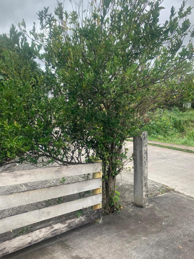 Caraibes Loc Ducos Exterior foto